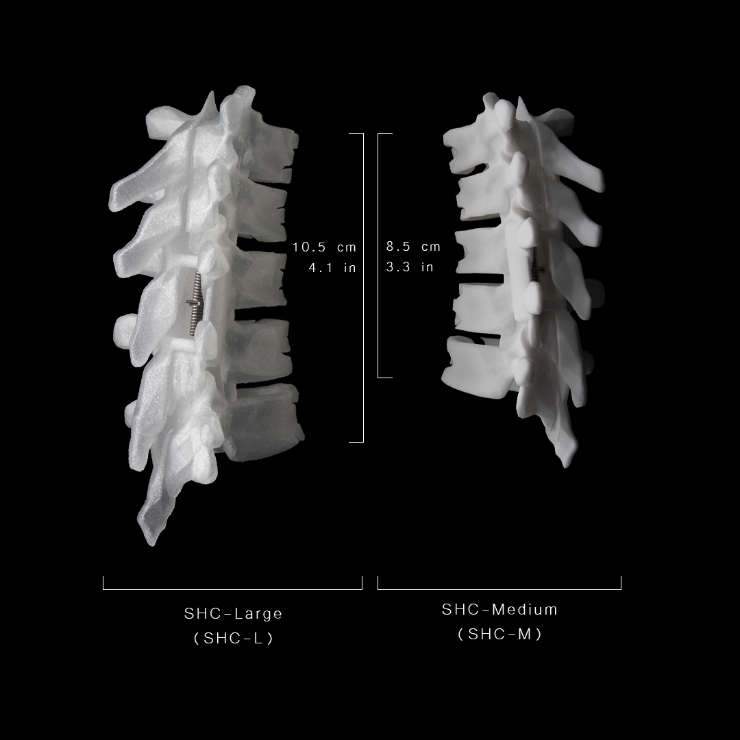 SHC-M / Bone