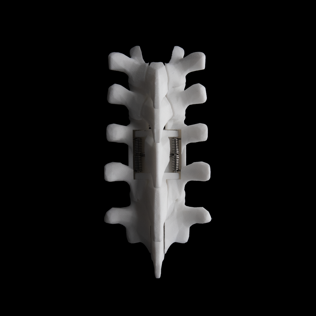 SHC-M / Bone