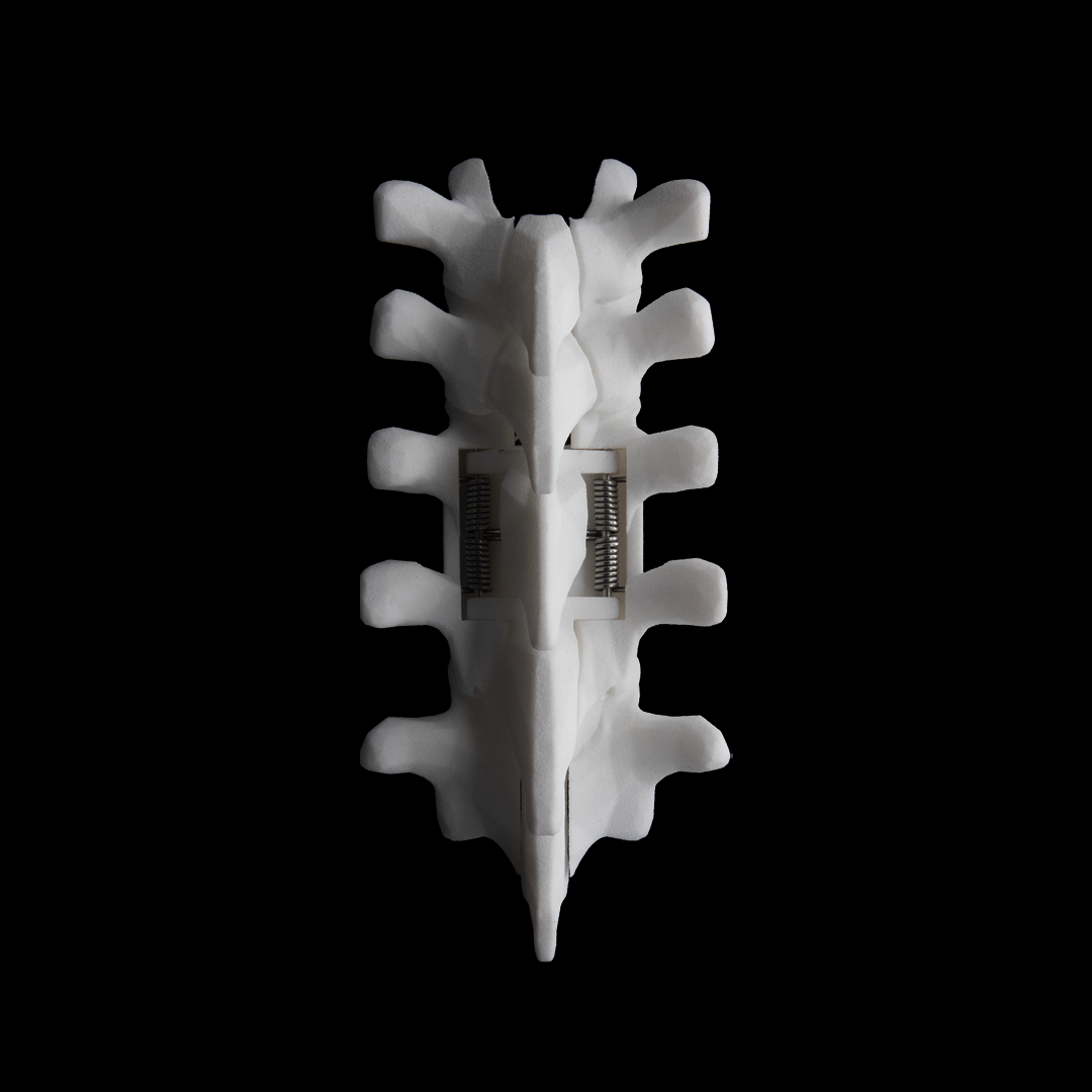 SHC-M / Bone