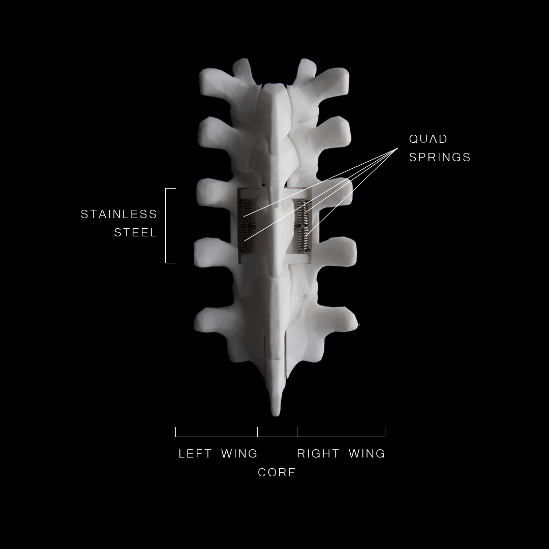 SHC-M / Bone