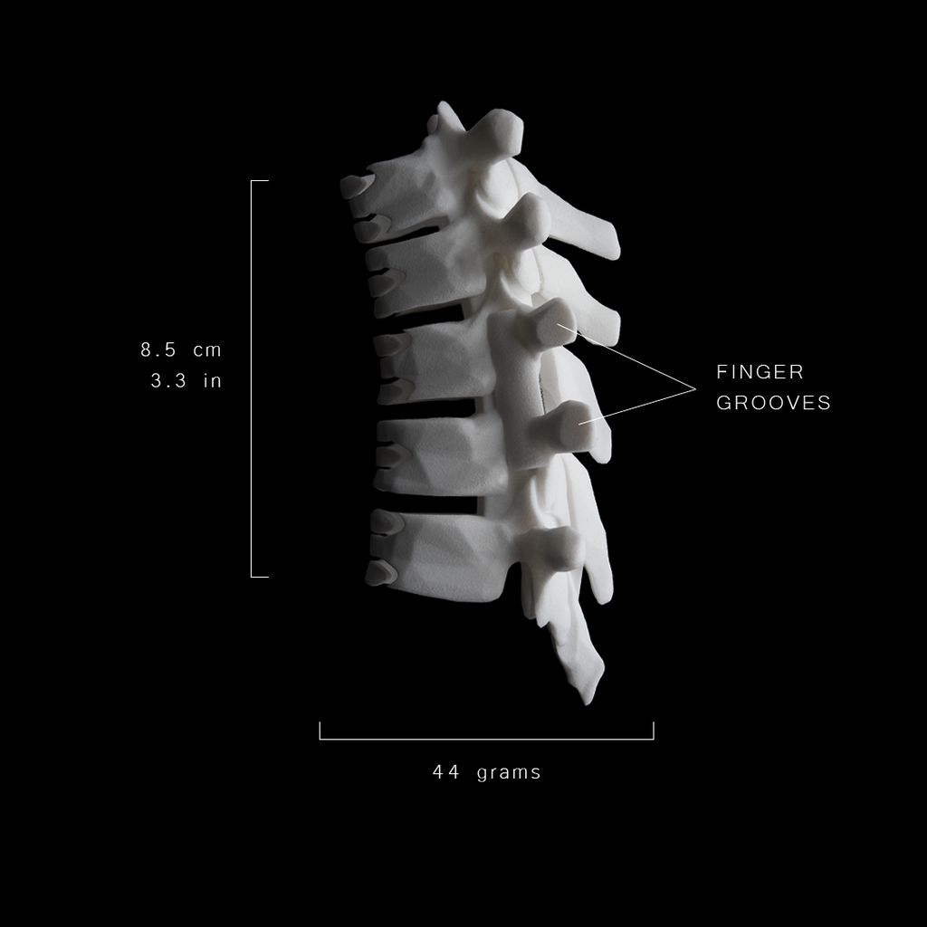 SHC-M / Bone