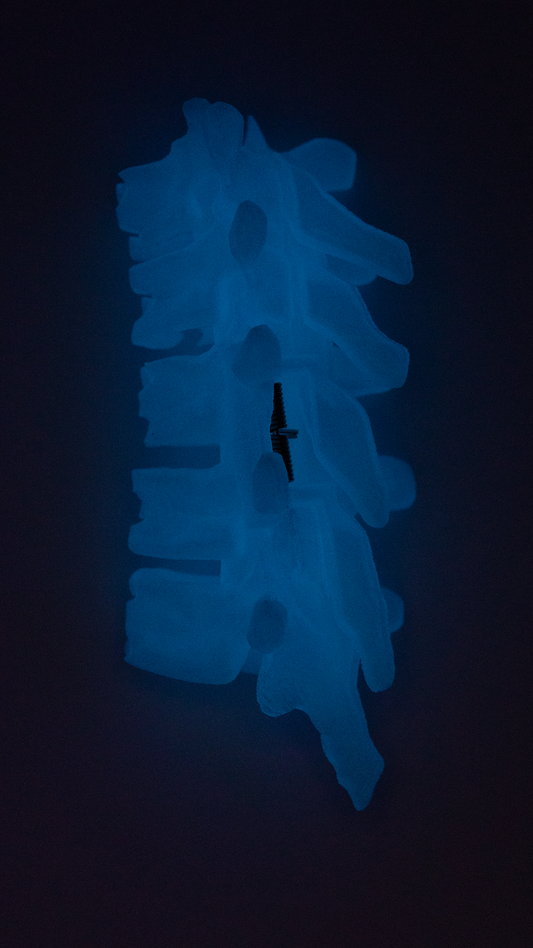 SHC / BIOLUMINESCENT